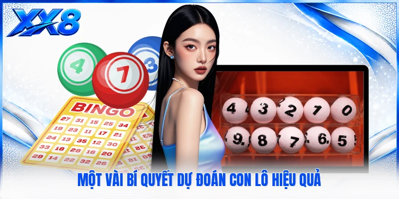 Một vài bí quyết dự đoán con lô hiệu quả
