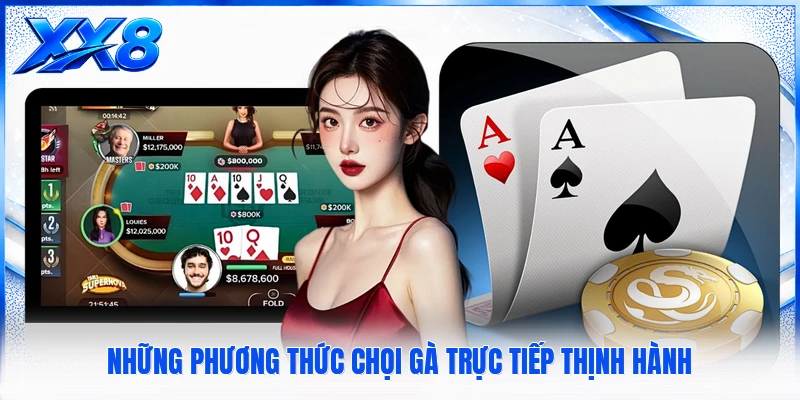 Đá Gà XX8 Những phương thức chọi gà trực tiếp thịnh hành